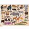 Challenge your kids to put together this 100 piece, beautiful wild animal jigsaw from Bertoy! Complete the puzzle to create images of beautiful wild animals like an Elephant, Lion, Giraffe and many more!